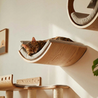 Moon Nest