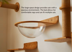 Cloud Pod