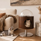 Luna Pod